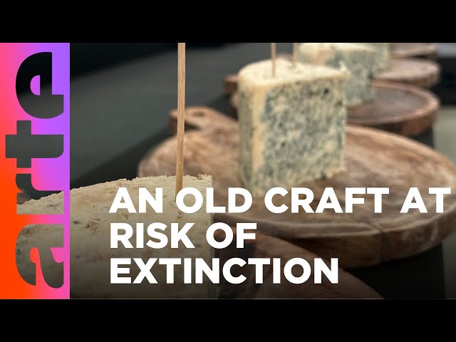 Spanish Traditional Cheeses in Danger | ARTE.tv Culture