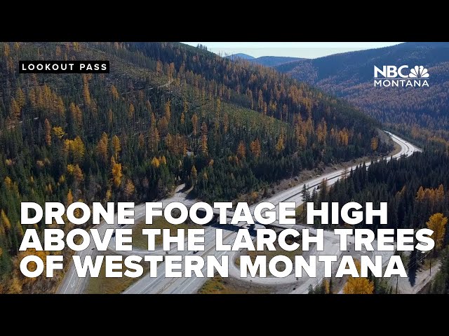 NBC Montana Sky Team took to the skies high above the beautiful larch trees of western Montana
