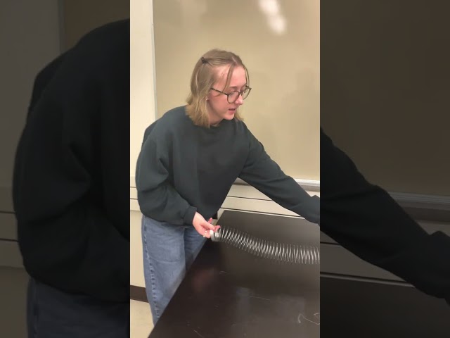 Looking at P waves and S waves (Seismic Body Waves)