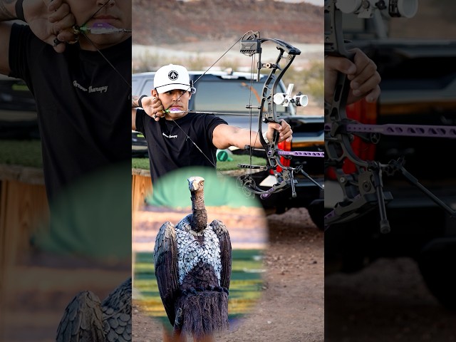 Total archery challenge prep! #archery #bowhunting #targetarchery