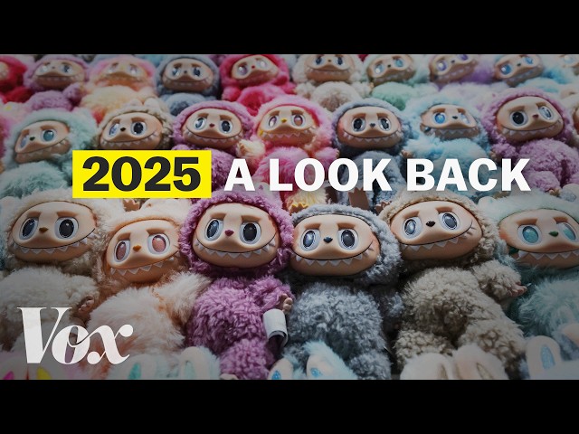 2025, in 8 minutes