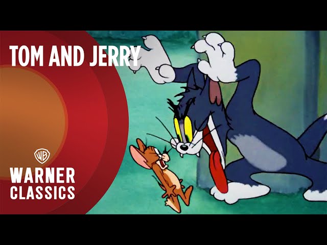 🔴 LIVE: Tom and Jerry Golden Era Live Stream! | 1940's-1970's | Warner Classics
