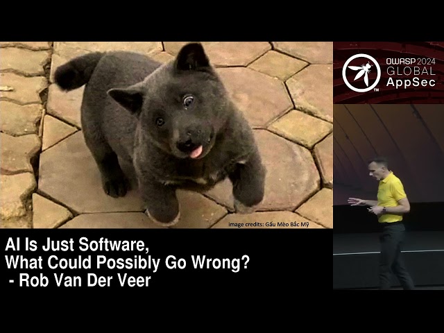 AI Is Just Software, What Could Possibly Go Wrong? - Rob Van Der Veer