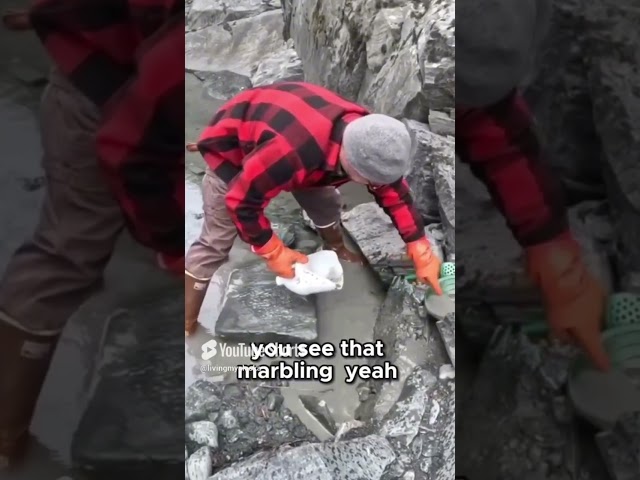 The $12 Alaskan Gold Rush Secret They Didn't Tell Us About!