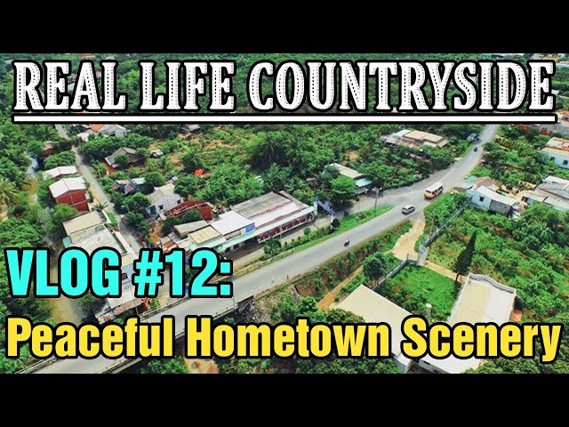 Real Life Countryside vlog 🌿 Vlog #12 |  Peaceful Hometown Scenery 🌾