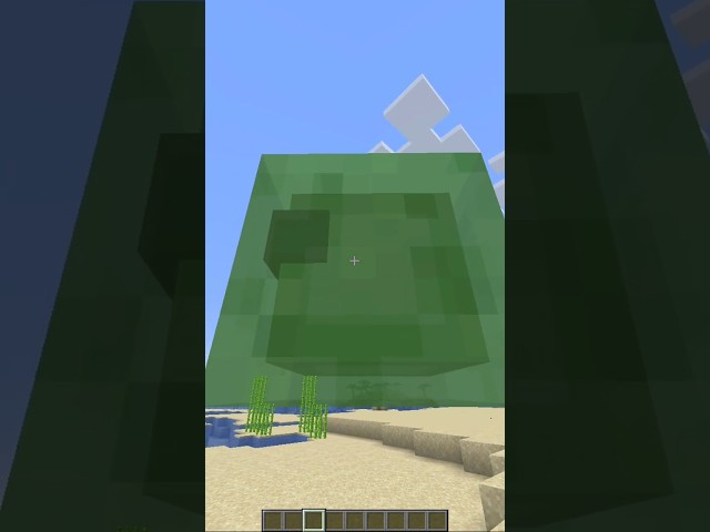 3 Java Features Bedrock Will NEVER Get!