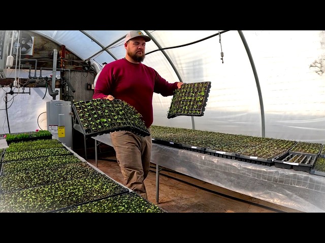 Spreading Lime and a Plant Rescue | Spring on the Farm