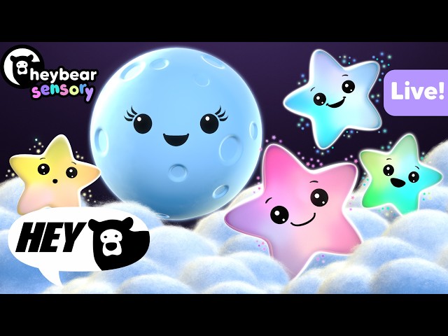 Hey Bear Sensory - Mindful Moon and Sleepy Stars Live Stream!