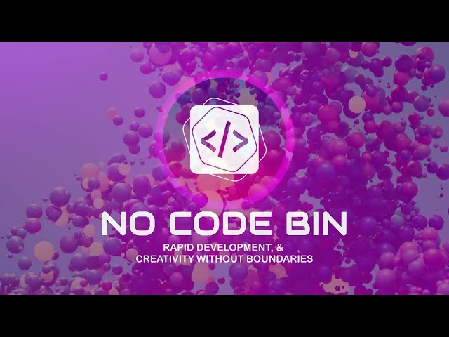 NO CODE BIN intro