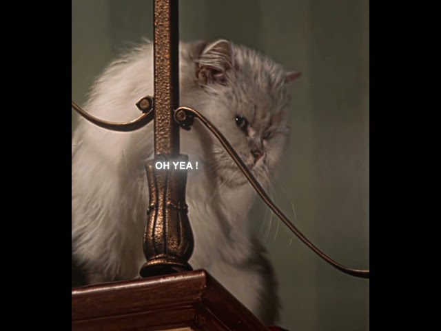 They did That 💔  - "Stuart Little" Edit | EMIN ft. JONY - Каmin (slowed) (tiktok remix)