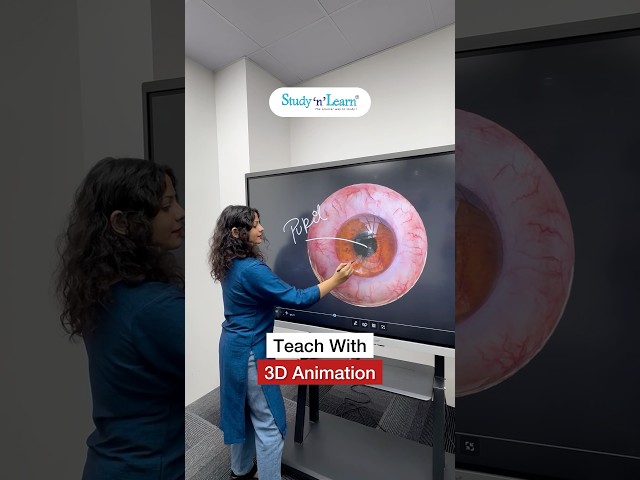 Digital Board With 3D Animation - Human Eye 3D Animation On Smart Board For Teaching In Classroom