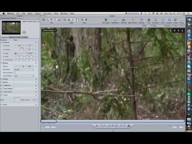 Best Bigfoot video ever analysis