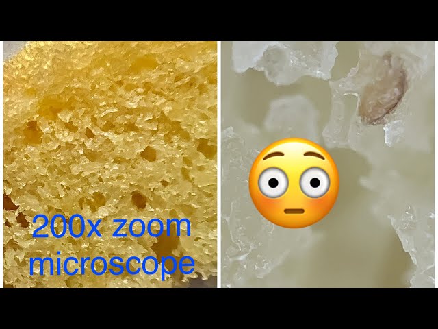 Microscope 200x zoom in foods