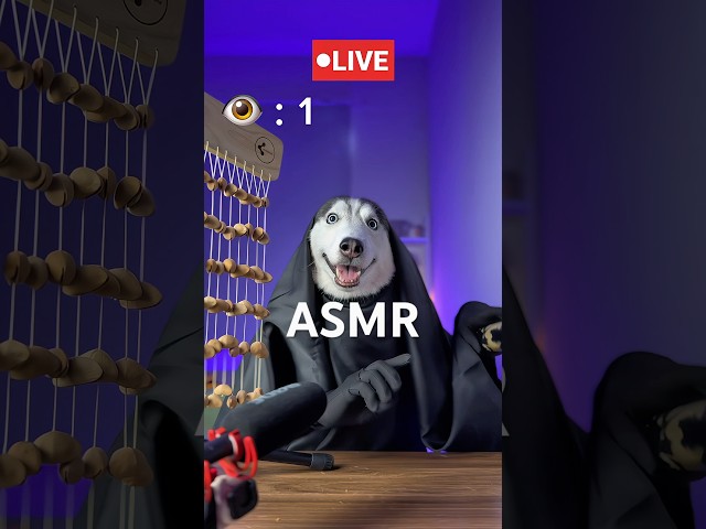 Bitte bleib bei mir 🥹 #short #shorts #livestream #asmr