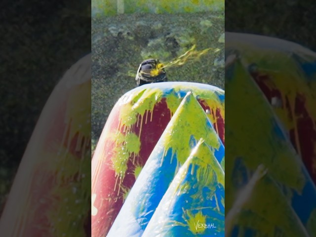 Boom. Headshot. ⁣⁣Pro paintball. ⁣⁣#paintball #shorts