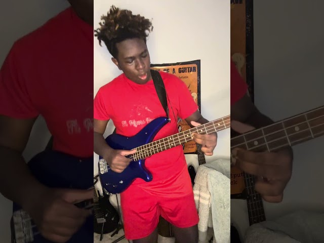 Pudding time- #primus - #basscover #primussucks #bass #music