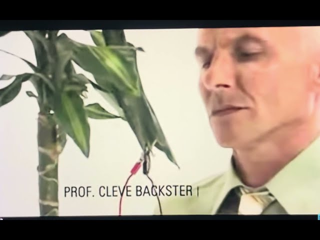 Cleve Backster’s Plant Experiment: Do Plants Remember and Feel Energy?