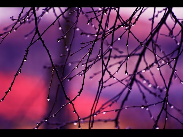 Jose Cura & Ewa Malas Godlewska "Ou Est Le Temps" - Хосе Кура и Ева Малас-Годлевска