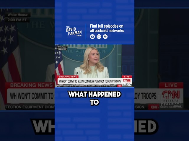 Karoline Leavitt delivers incoherent rant about Raskin #shorts