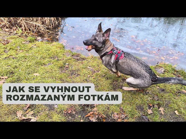 Jak se vyhnout rozmazaným fotkám při focení mobilem (Xiaomi, Samsung, iPhone)