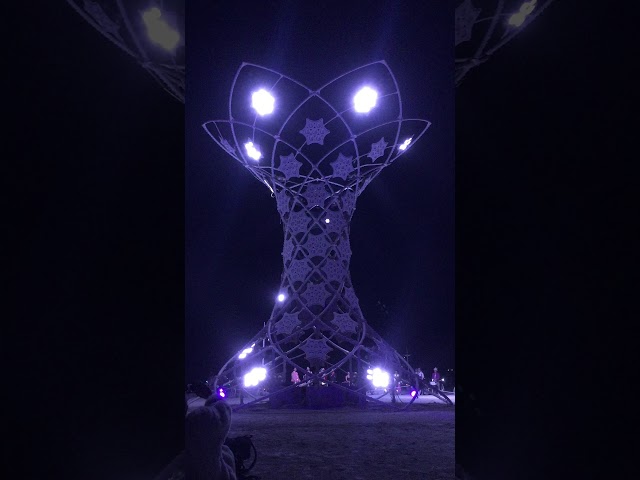 Illumina, Full Sequence (Burning Man 2017)