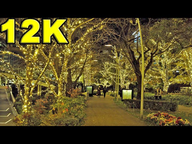 12K Video 夜の六本木サイクリング Cycling in Roppongi, Tokyo at night★Blackmagic URSA Mini Pro 12K Video