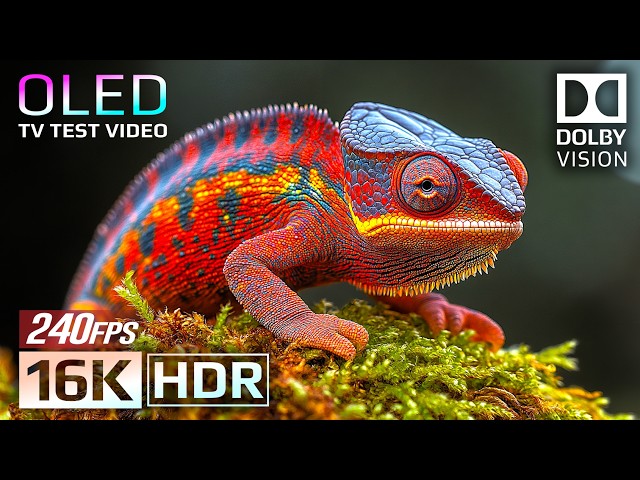 The Most Spectacular OLED Demo In 16K HDR 240fps - Dolby Vision (For 8K4K TV)