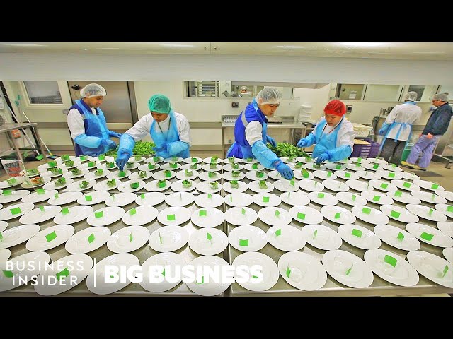 How Emirates Makes 225,000 In-Flight Meals A Day