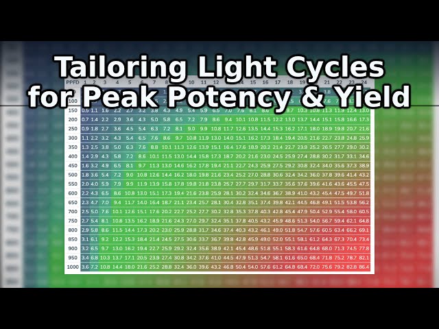 Anpassung der Lichtzyklen für maximale Potenz und Ertrag
