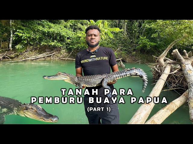 CROCODILES EATEN & SOLD IN PAPUA | Journey to the Land of Crocodile Hunters ( Part 1 )