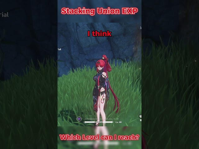 WHAT 106K UNION EXP CAN GET YOU - Lvl 20 to ? | Wuthering Waves