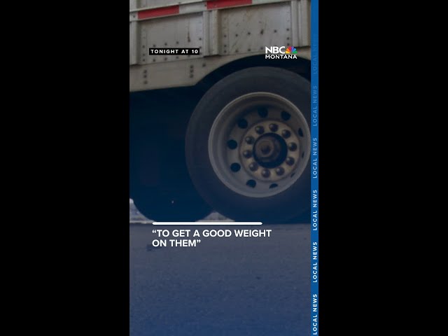 MONTANA MOMENT: A look inside Montana’s weigh stations, how they protect our roads