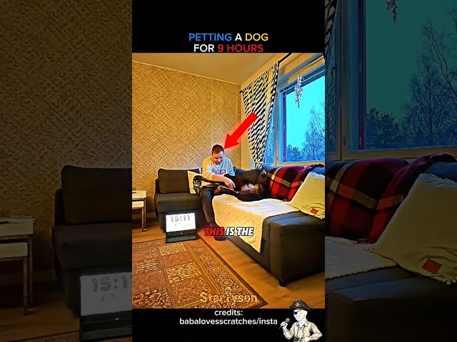 He Scratches His Dog 1 Second for Every Follower 🐶😲