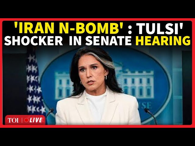 'Iran Nuclear Bomb...': Tulsi Gabbard SHOCKS Trump During Fiery Senate Intel Hearing | Watch