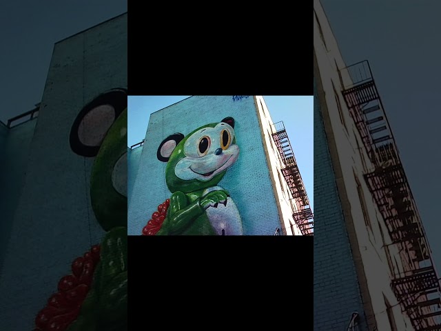 Trying out the new Kodak Charmera #camera #digitalcamera