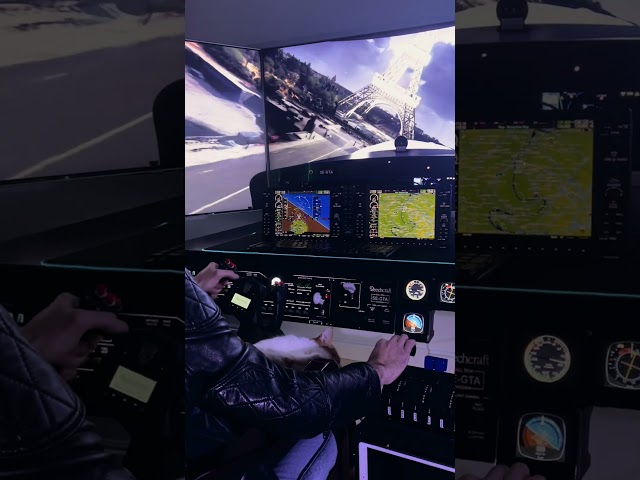 😔 NO TEARS, JUST THE RAIN Stay strong, kings! 👑 #aviation #pilot #flight #cat #simulator #plane