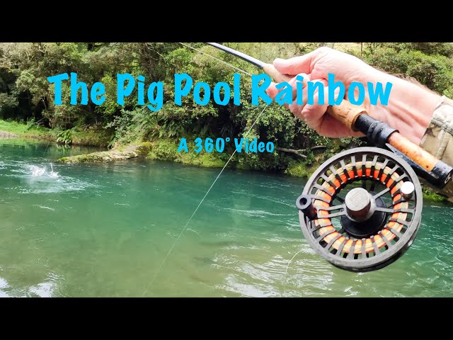 The Pig Pool Rainbow - A 360° Video