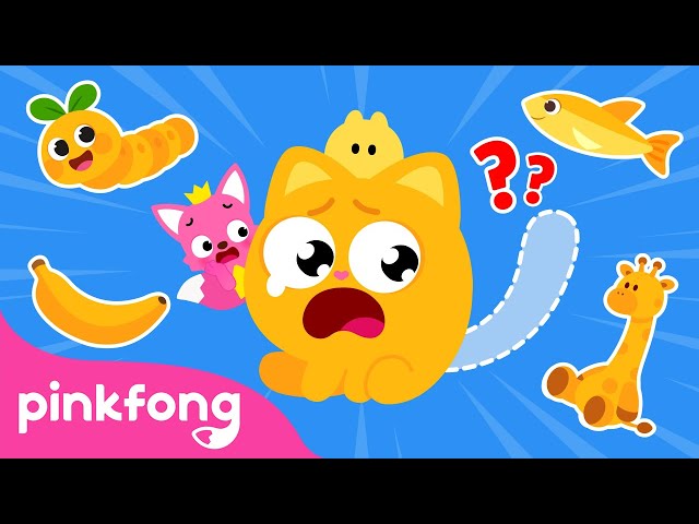 [Pinkfong x Ninimo] Where Is My Tail? 🐱 | Find the missing tail | Pinkfong Official