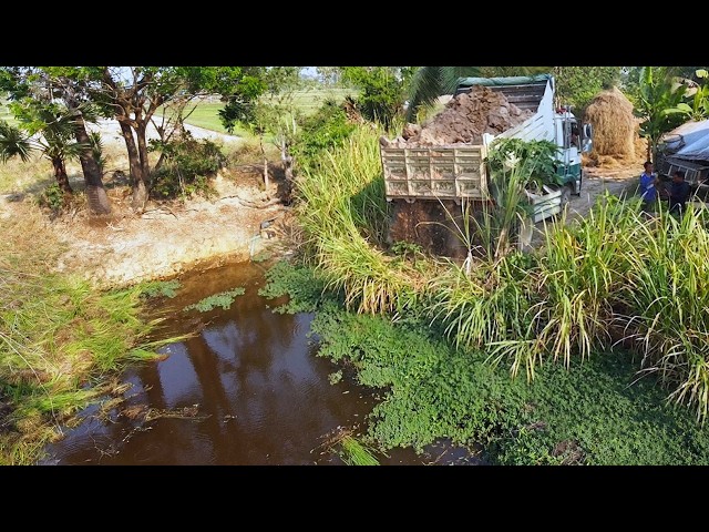 First Start New PROJECT!! LANFILL Delete Deep Fish Pond in Flooded Area Use D20p Dozer & 5Ton Truck.