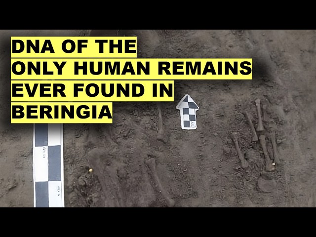DNA Of The Only Human Remains Ever Found In Beringia Puzzles Researchers