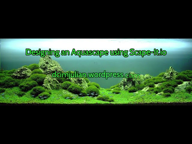 How to Design an Aquascape Using Scape-It.io