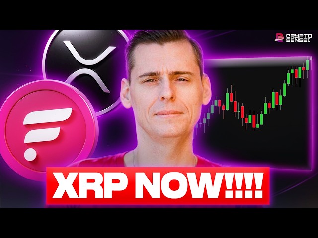 XRP HOLDERS LISTEN NOW!!! MAJOR FLARE & XRP UPDATE!! (NOW)