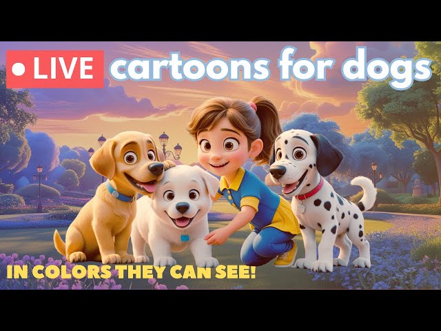 🐶 Cartoons for Dogs TV, LIVE 24/7 🎵 | Colors they can see, Calm Music | Bluey, Luna & Friends
