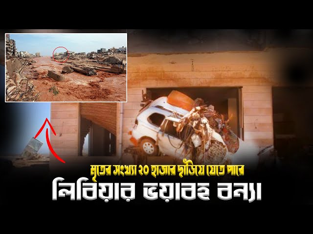 CODE OF THINKING বুলেটিন ২০২৩। AFN বুলেটিন ┇লিবিয়ার ভয়াবহ বন্যা