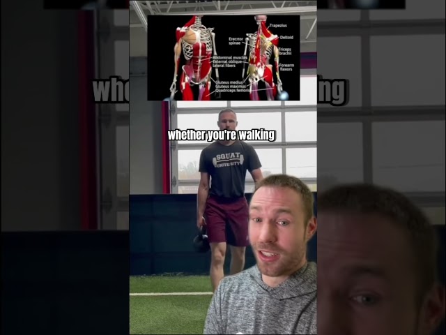 Killer Abs / Core Workout 🔥