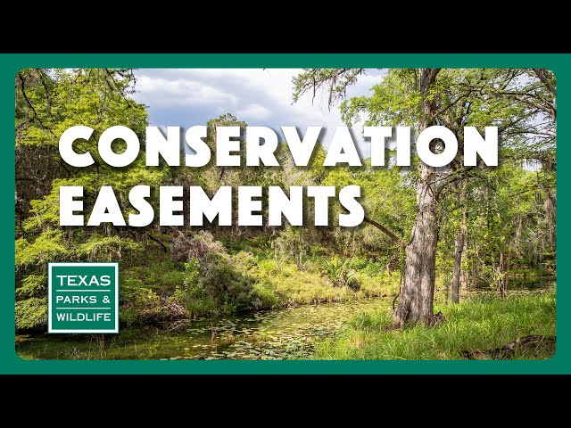 Conservation Easements