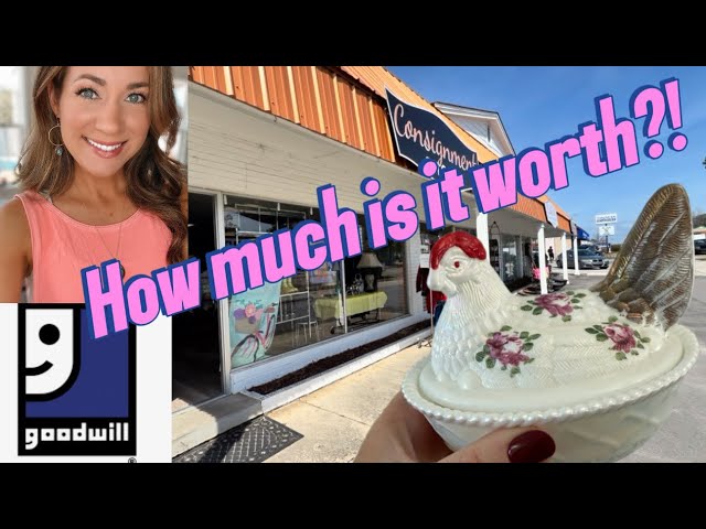 I can’t believe this find… 🤩