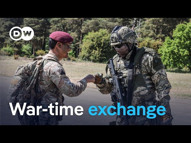 How European allies learn from Ukrainian soldiers | DW Reporter