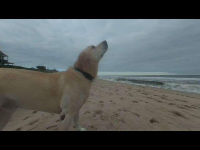 3D VR180 Converted Top Bottom