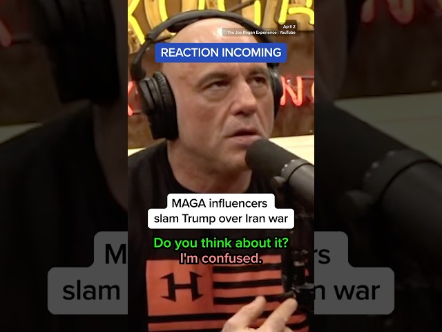 MAGA influencers slam Trump over Iran war